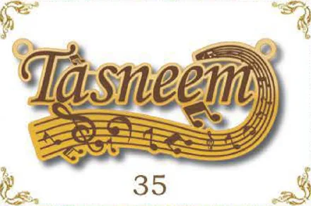 Design 35 — Tasneem, a custom gold name plate cut by Royal Jewelry